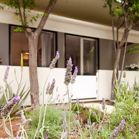 Apartment Sweet Flora In Vouliagmeni *